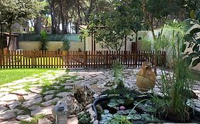 Bungalow Fatamorgana